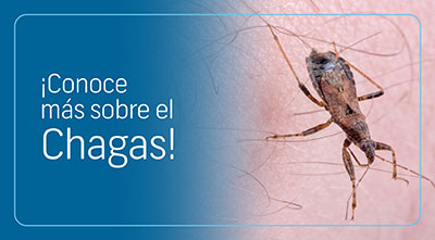 ¡Conoce más sobre el Chagas!