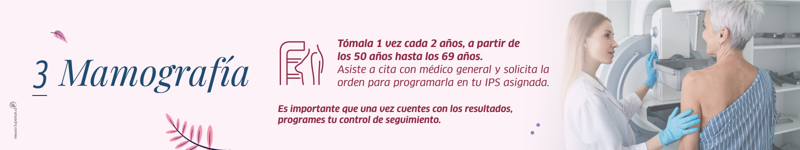 ilustracion mamografia