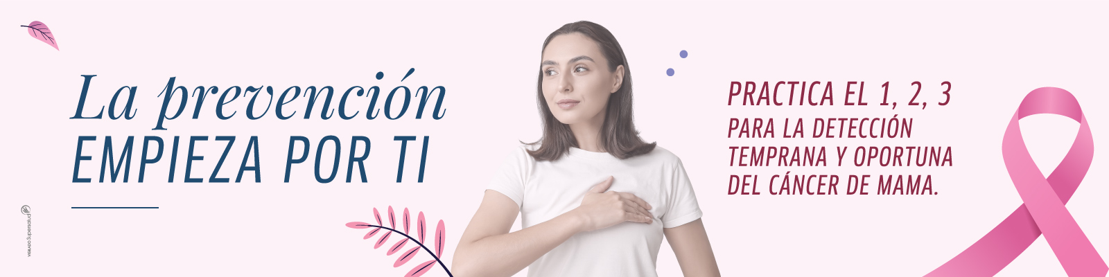 Día Mundial de la lucha contra el cáncer de mama. El autoexamen, examen médico y la mamografía son clave