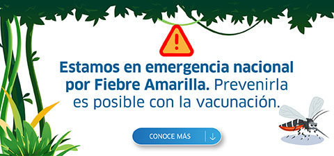 Alerta nacional de Fiebre Amarilla
