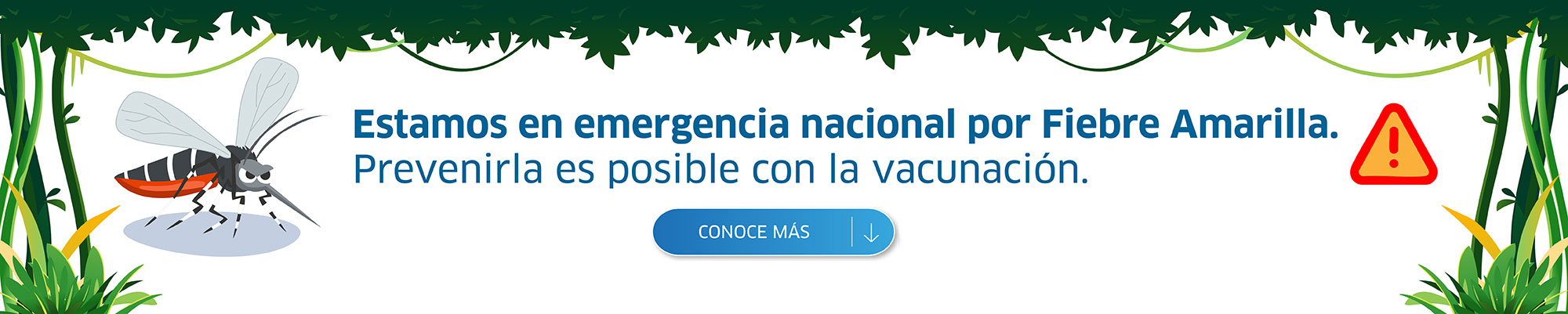 Alerta nacional de Fiebre Amarilla