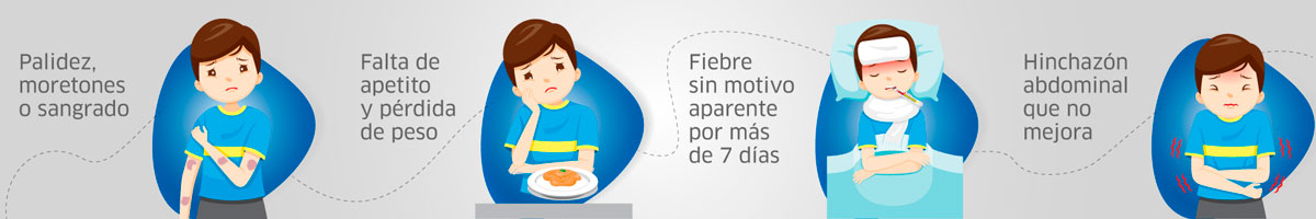 Actualiza tus datos