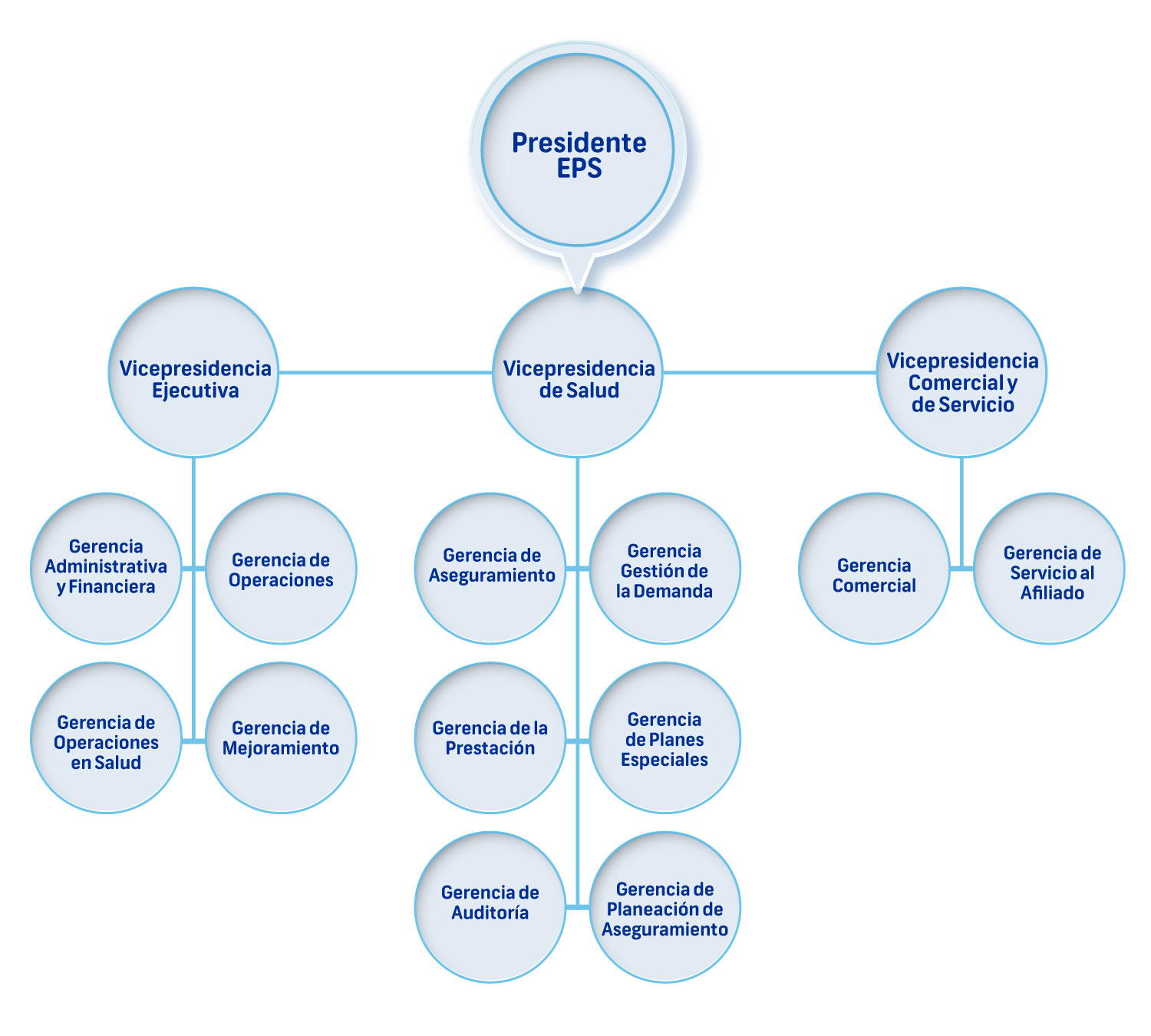 Imagen Organigrama EPS Sanitas