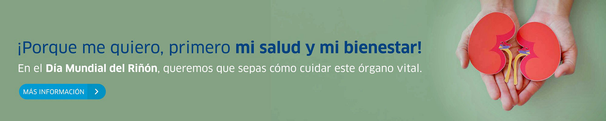 Dia mundial del riñón
